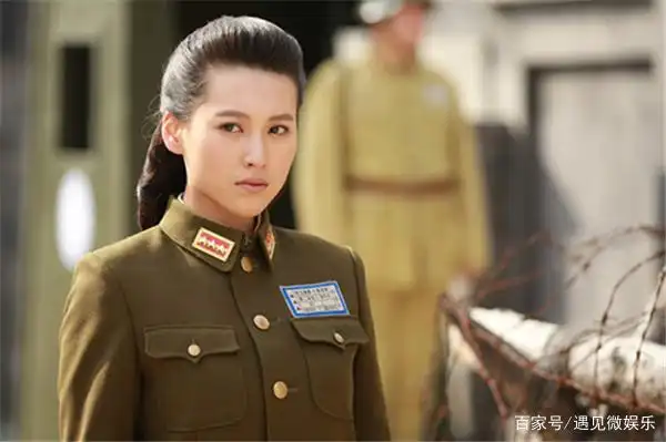 而宁丹琳,长相很漂亮,但是没有天大的辨识度,虽然出演了很多的电视剧