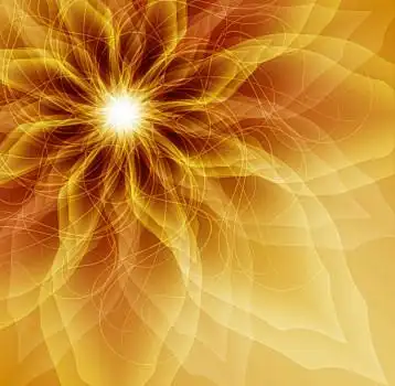 金色,花瓣,透明