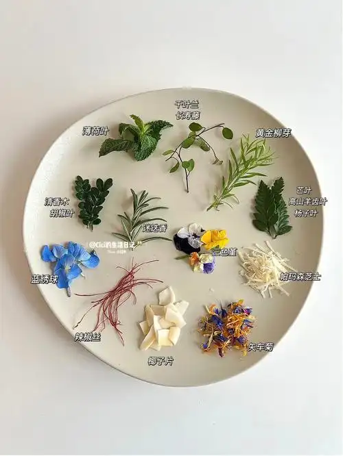 share西餐摆盘装饰花香草topping合集