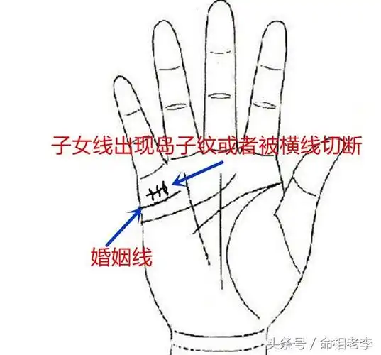 手相中子女线,看看你与儿女的缘分有多深!