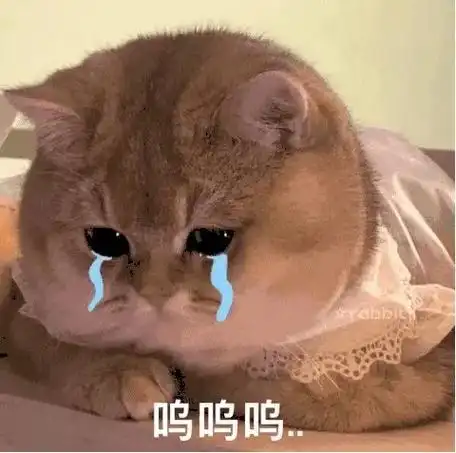 流泪想哭沙雕表情包.打工好累,但我不能哭,因为骑电动车擦泪不 - 抖音