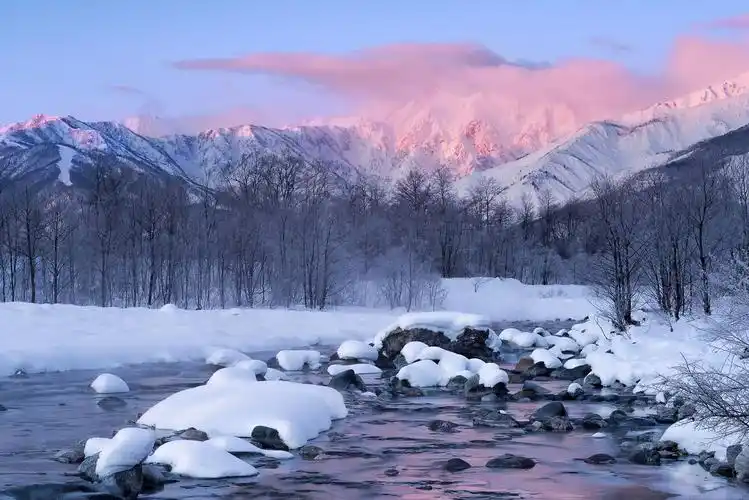 有没有适合女生的ipad壁纸