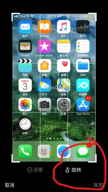 iphone6怎么缩小图片
