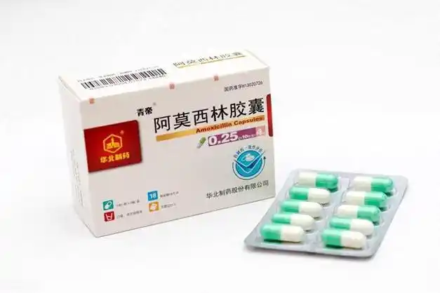 感冒吃阿莫西林住进icu阿莫西林只管5种病服用需注意3点