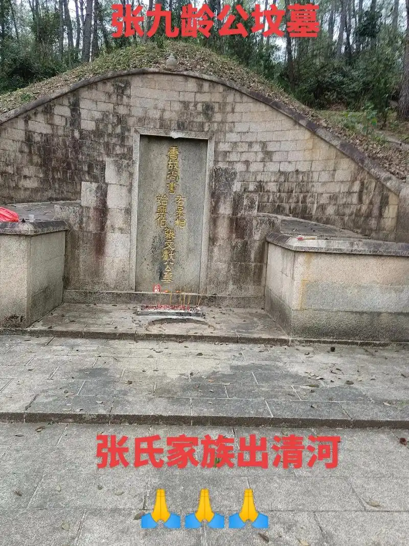 张氏家族 #现场实拍 ,九龄和唐桂阳夫人坟墓子孙后代分支全 - 抖音
