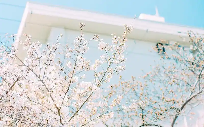 日系文艺小清新街道风景高清桌面壁纸