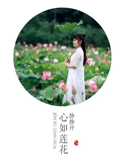 心如莲花静静开
