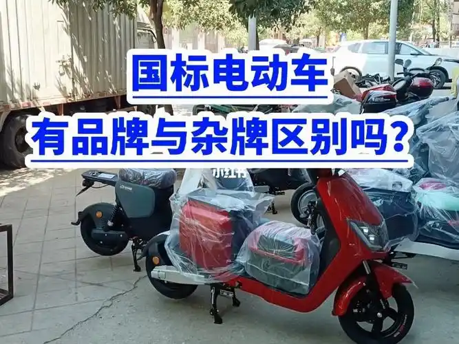 国标电动车品牌杂牌的区别满意修车