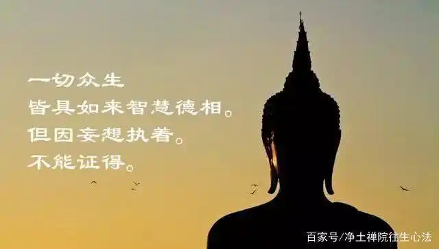佛法",但是它们运行和发展规律背后的诸法实相,与修佛成道的规律是无