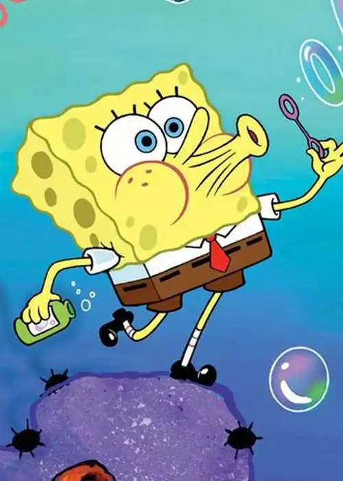 我最喜欢的动漫是海绵宝宝