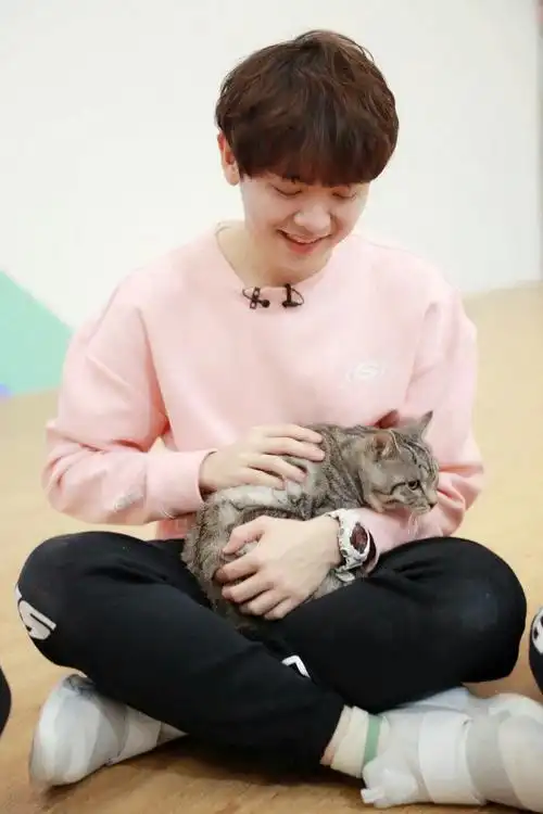 《我是你的猫》(长得俊篇)