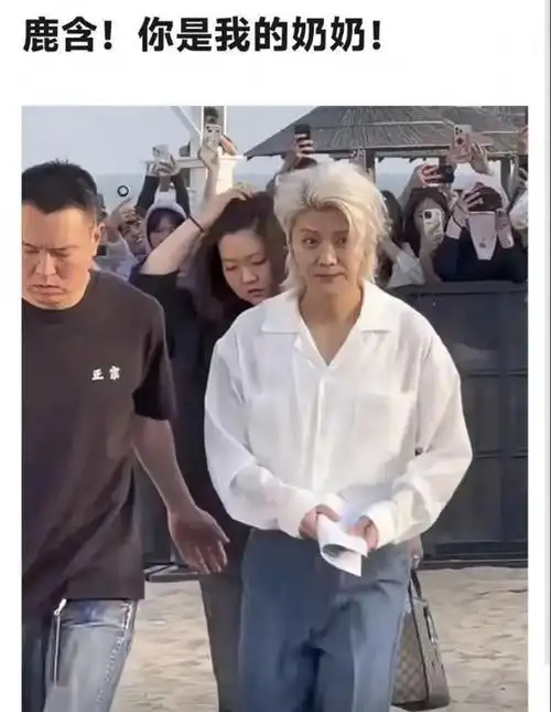 34岁鹿晗撞脸65岁刘雪华,脸肿成"老嫂子",网友:没胡子像我姨