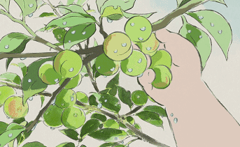 让你感觉这或许真的存在对山野植物的刻画,细致真实是吉卜力的作品中