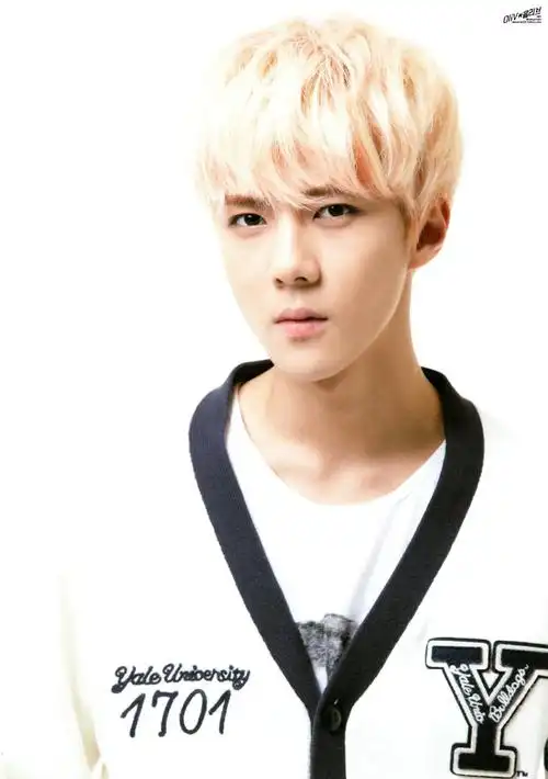 这个系列12张exo的图片谁有