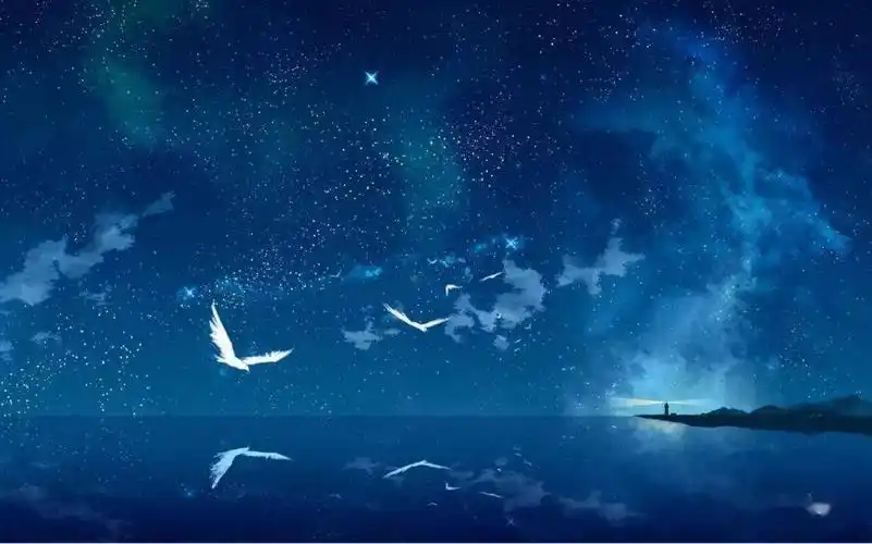 faded12, 心兰相随13,风居住的街道14,故乡的原风景15,冰菊物语16,风