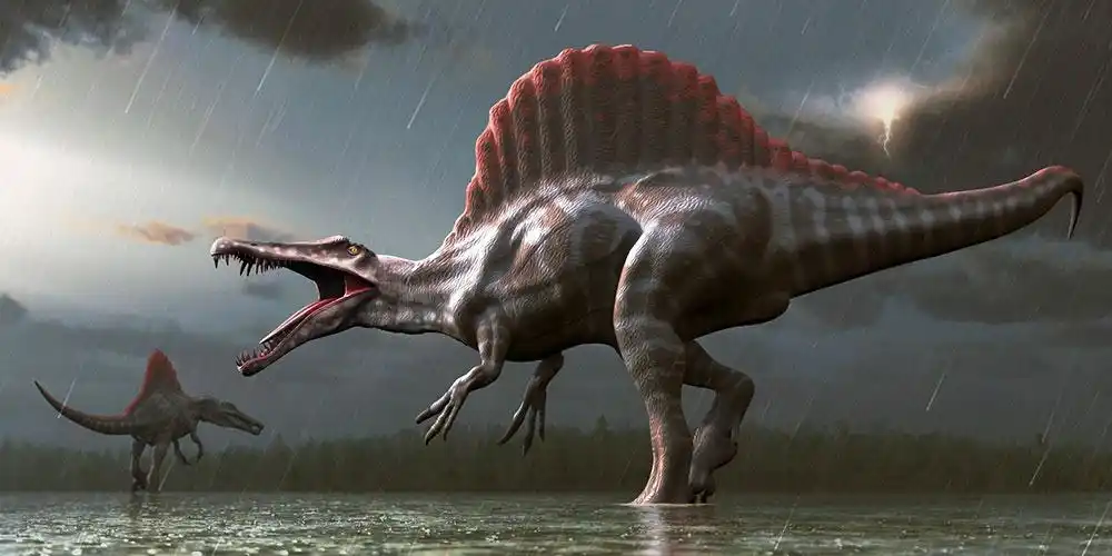 恐龙图片_恐龙图库恐龙品种图片大全,恐龙复原图高清恐龙图片大图下载