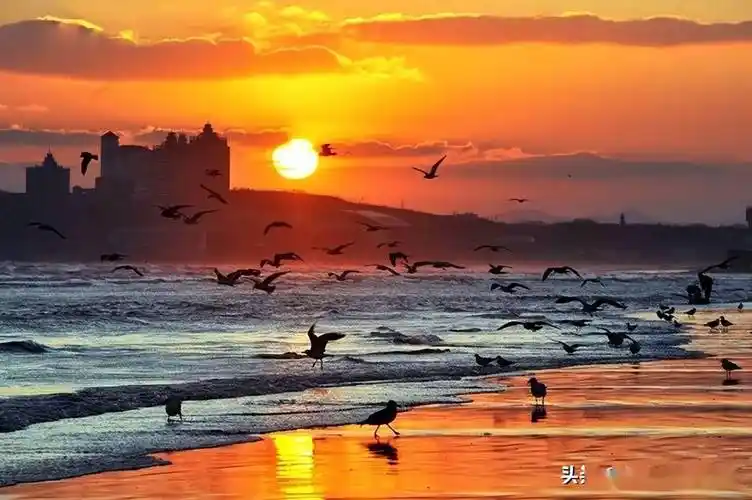 烟台有一种美,叫海上日出!_大海_都是新_朝日