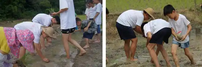 营多多 千秋业教育夏令营 课程中心 10天工农兵之"小知青下乡营" 活动