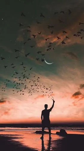 一个人的海边背影