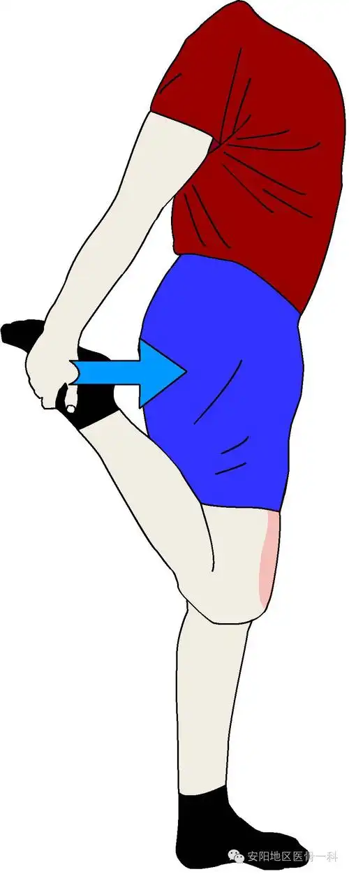 高级锻炼01单腿部分屈膝锻炼:取站立位,扶住椅子支撑身体.