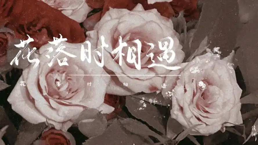 花落时相遇歌词壁纸