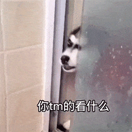 沙雕表情包你也有今天