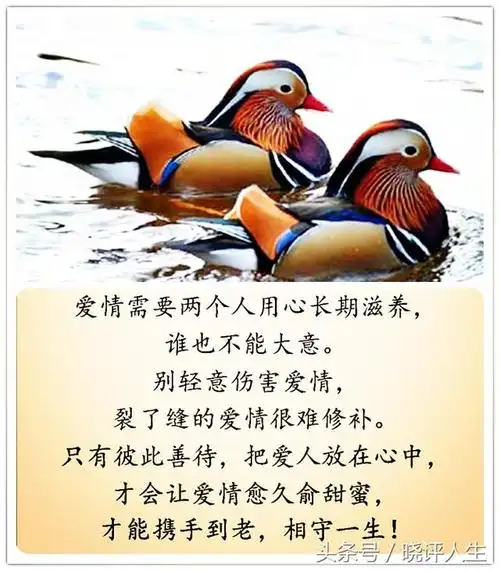 夫是妻的靠山,妻是夫的财富,请好好珍惜这辈子来之不易的缘份!