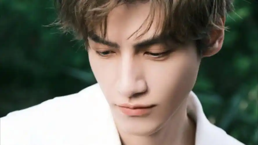 隽逸凌尘堪雅颂,琼琚皎月意难穷