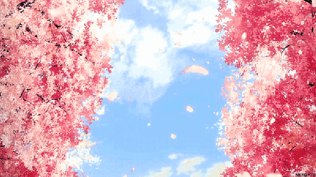 640_359gif 动态图 动图