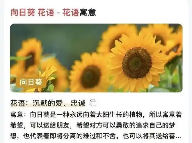 蔡徐坤ins##蔡徐坤