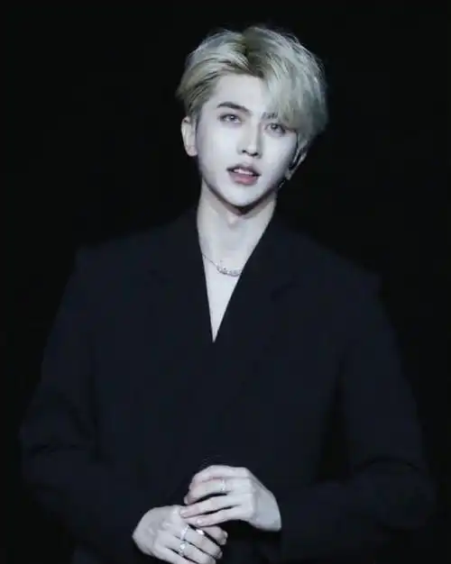 有大家喜欢的吗    张艺兴,鹿晗,蔡徐坤,于适,陈牧驰,范丞丞,肖战,王