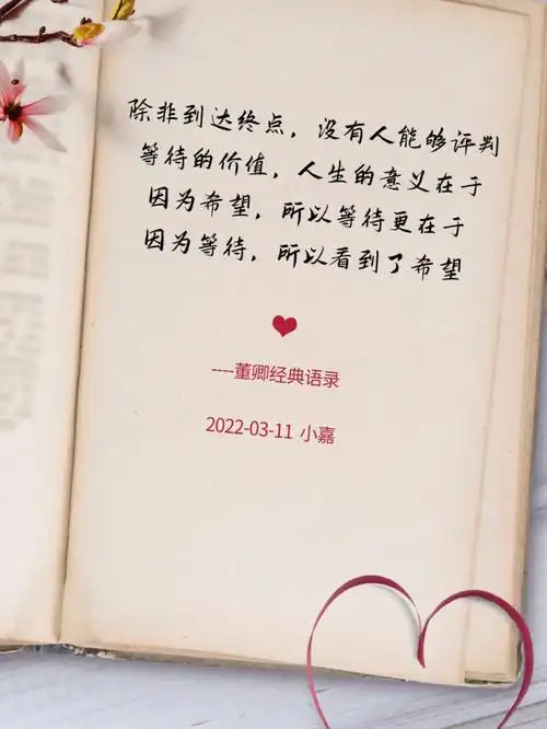 9句董卿人生感悟句句经典细细品味