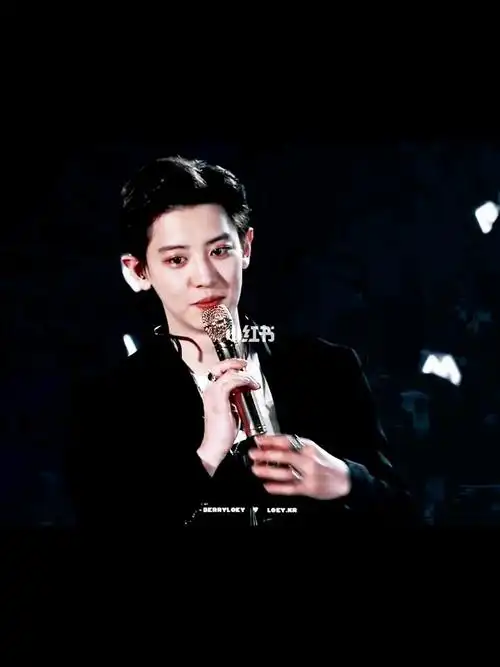 朴灿烈一些舞台混剪