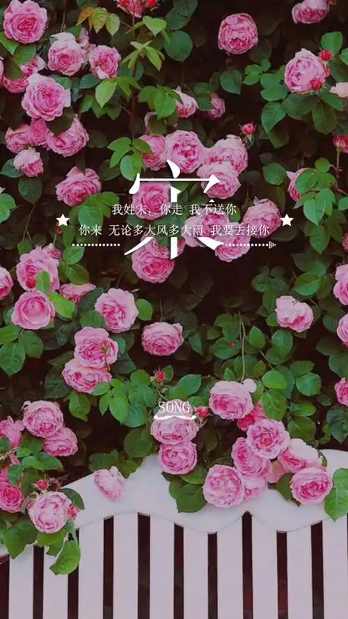 手机壁纸,姓氏壁纸-我姓宋