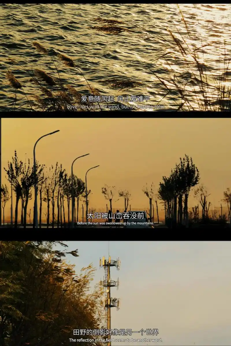 摄影 #把生活拍成电影 爱意随风起,风停爱难止 - 抖音