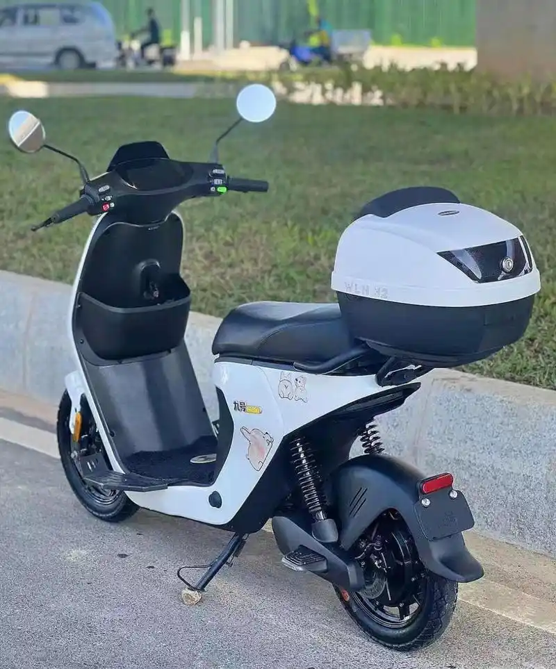 新国标九号c90电动车(已上牌)须过户或销户,搭载48v25a可拆卸锂电池