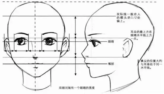 绘画中的"三庭五眼",你get了吗? - 元艺考