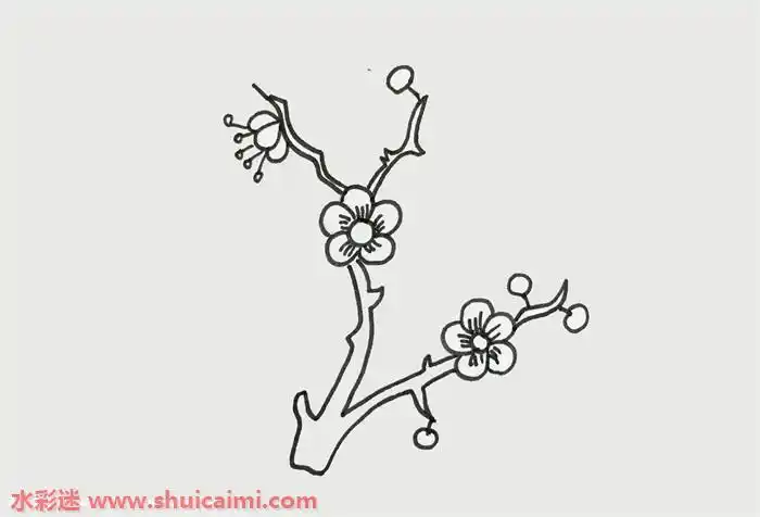 梅花怎么画梅花简笔画简单又漂亮彩色