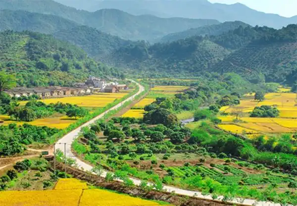 广州增城推进新乡村示范带建设