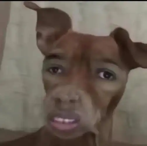 不抽象的狗狗表情包我不发