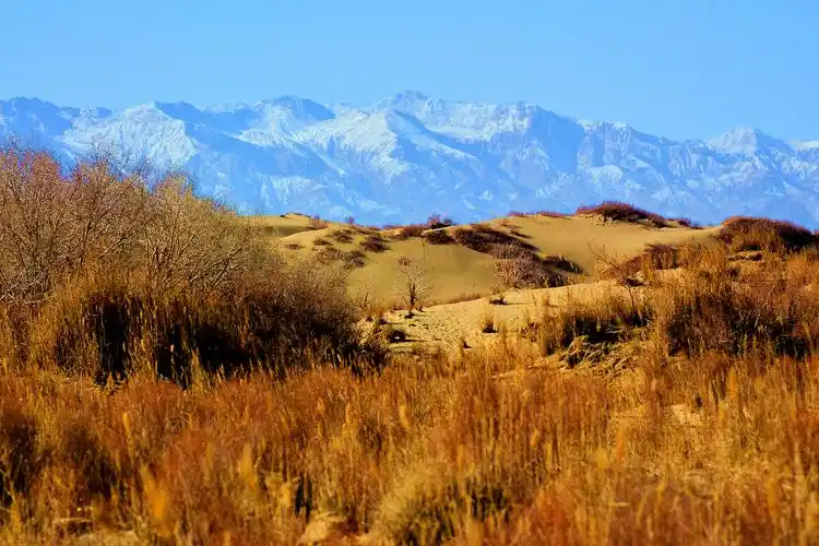 青海,高寒世界的美景(下)