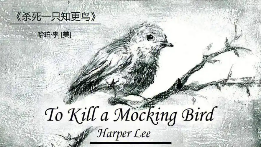 95 人们内心的良知与正义被所谓的傲慢与偏见杀死《杀死一只知更鸟