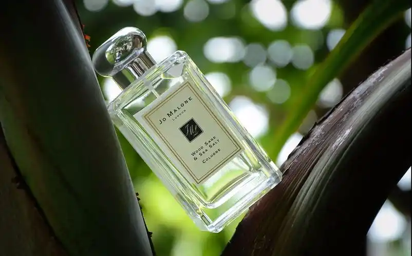 【半斤】香水评测04|鼠尾草海盐