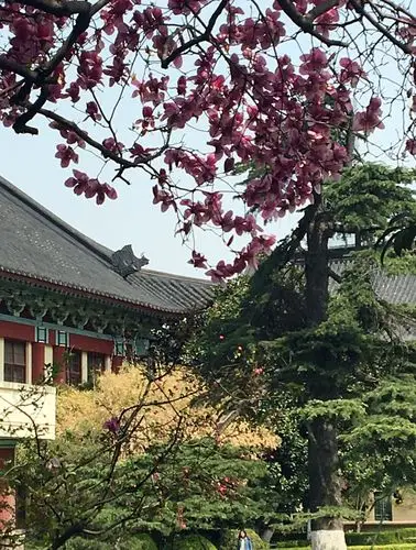 四季随园---美丽南师