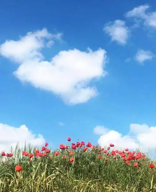 如果可以,谁都愿意一生平安喜乐