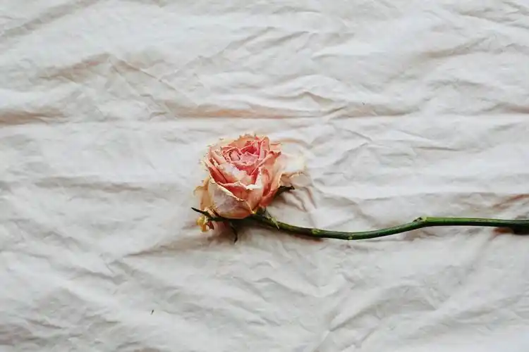 有没有什么简单一点的浅色系电脑壁纸? - 知乎