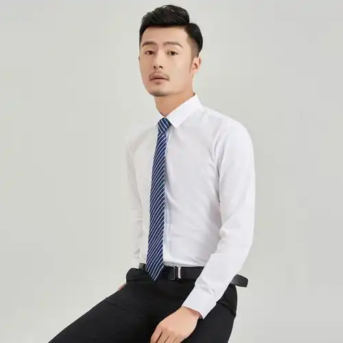长袖衬衫男士翻领修身青年免烫商务休闲职业上班面试正装衬衣秋款-mc