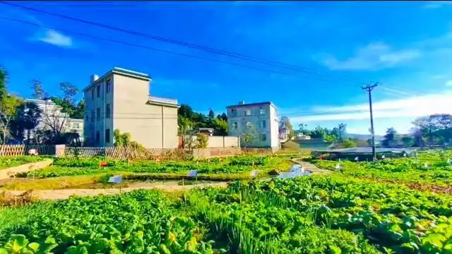 21世纪新时代,贫穷,落后,脏乱等形容词,不再是形容农村的专用词,现在