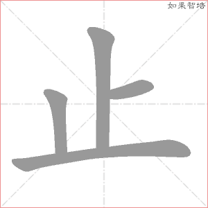 止字的笔顺动画