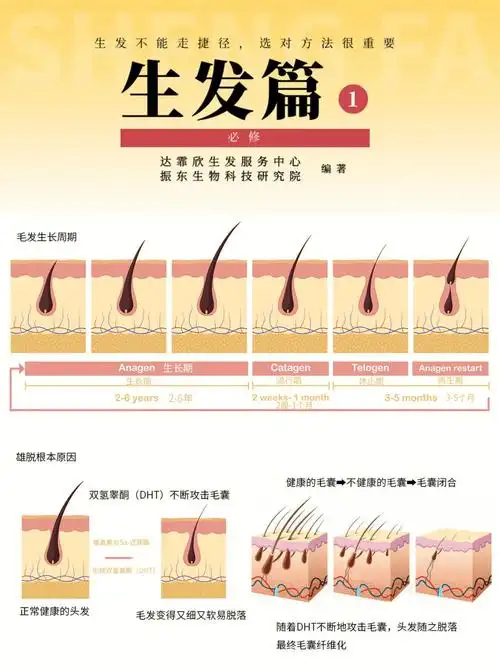 达霏欣生发篇看完这篇直接悟透怎么生发75